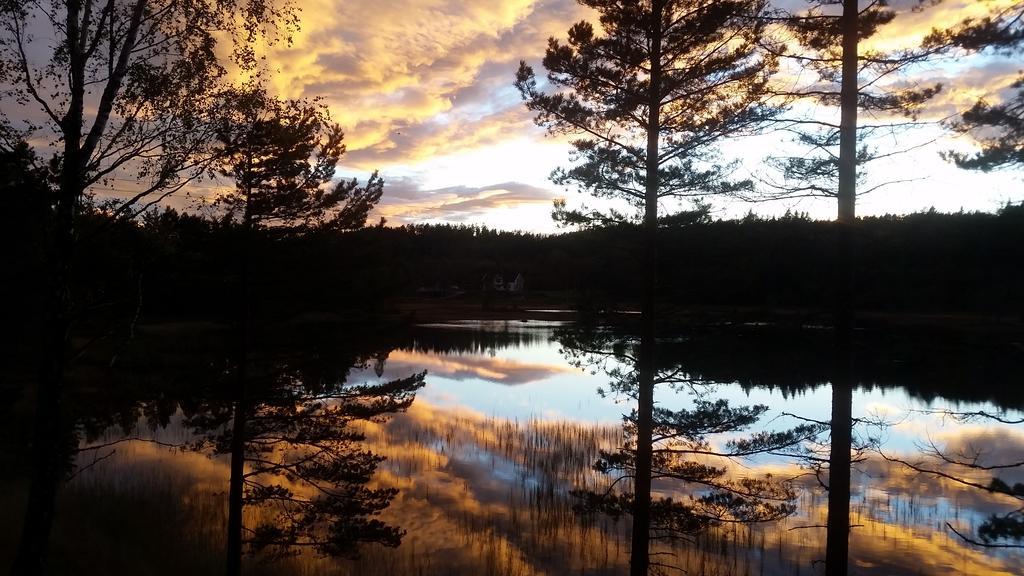 Bjorkeskogen Apartment Mjavatn Luaran gambar