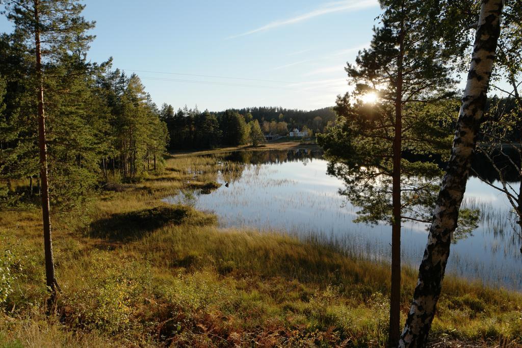 Bjorkeskogen Apartment Mjavatn Luaran gambar