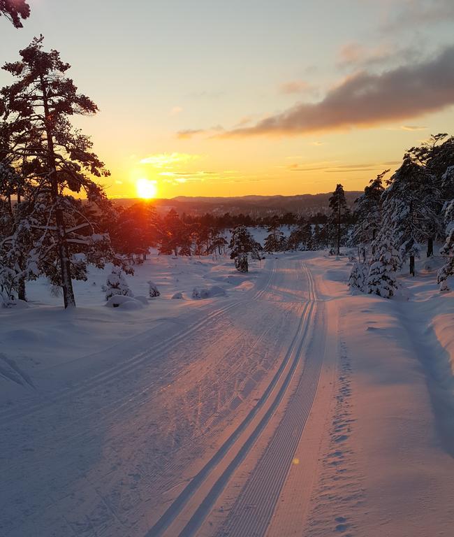 Bjorkeskogen Apartment Mjavatn Luaran gambar